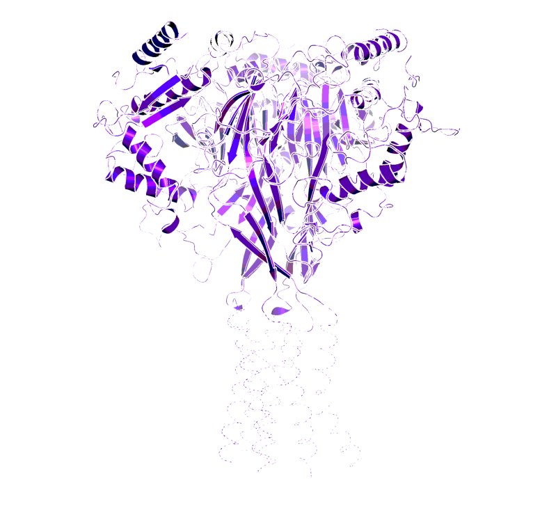 3D image of ENaC Inhibitor - BI-8668
