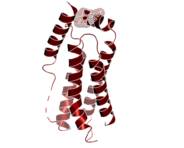 MLKL inhibitor | BI-8925 | opnMe | Boehringer Ingelheim