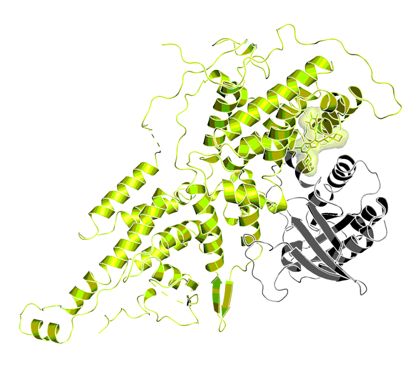 Xray crystal structure of a complex including HRAS,  SOS1, and VUBI1 (PDB code: 6D55)