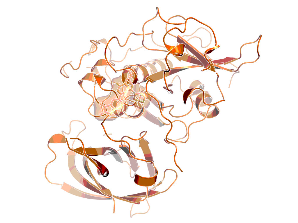 CatC inhibitor | BI-9740 | opnMe | Boehringer Ingelheim