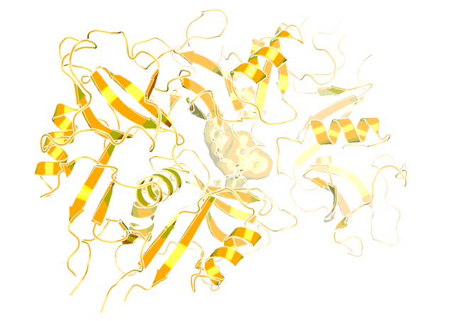 BI-1388 bound to the active site of NS3 (PDB code: 4i31)