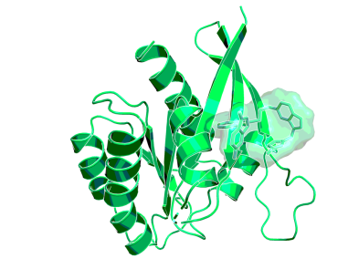 KRAS inhibitor | BI-2852 | opnMe | Boehringer Ingelheim